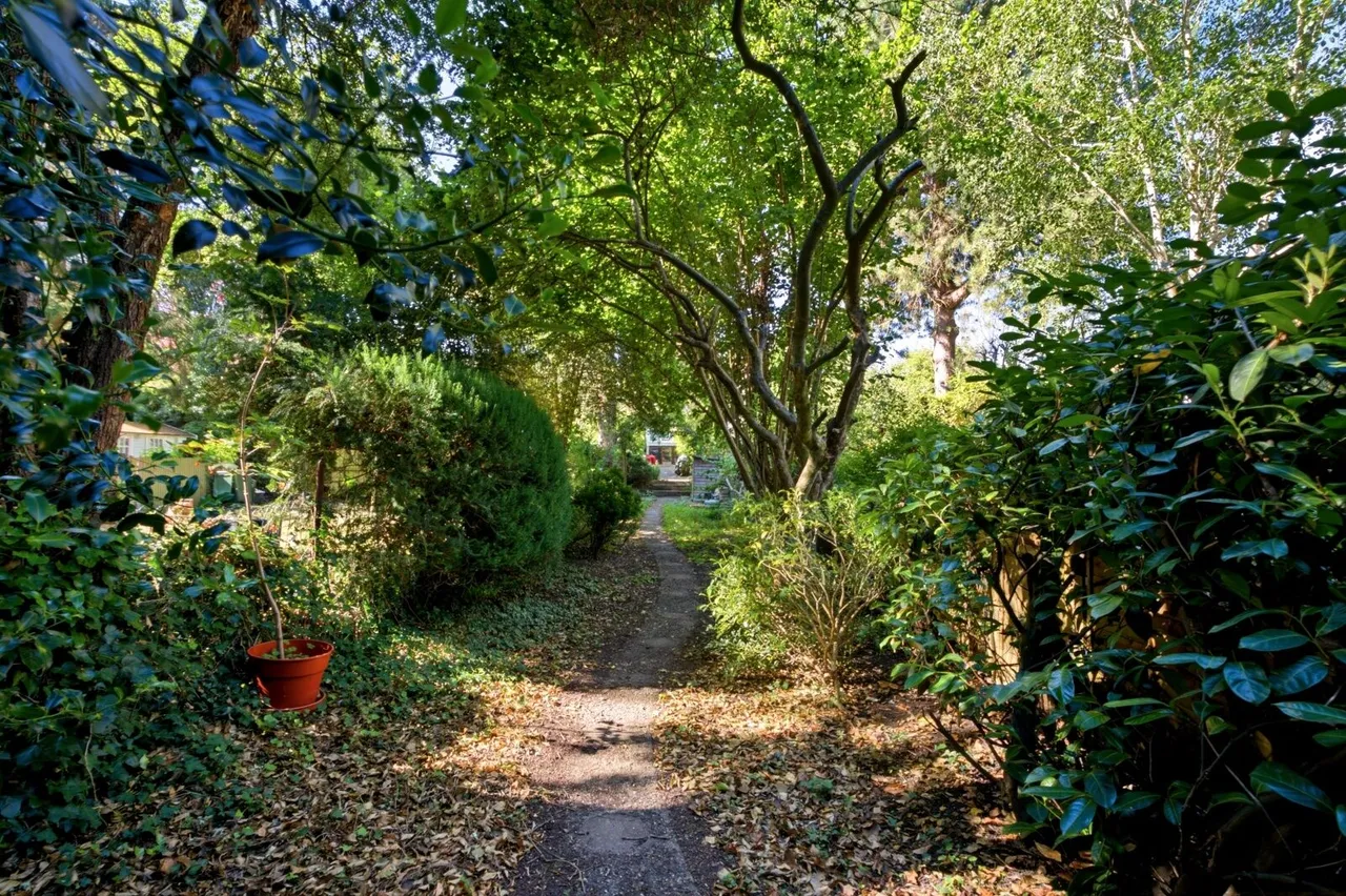 Prospect Road, St Albans, AL1, photo 3