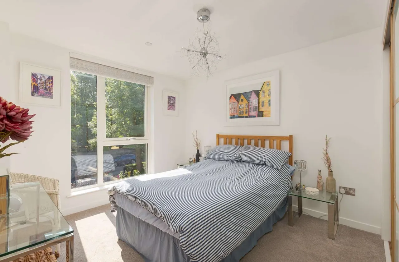 Polwarth Terrace, Merchiston, Edinburgh, Midlothian, EH11 1NJ, photo 8