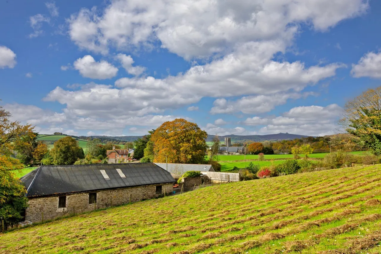 Newhouse Hill, Bickington, TQ12, photo 31