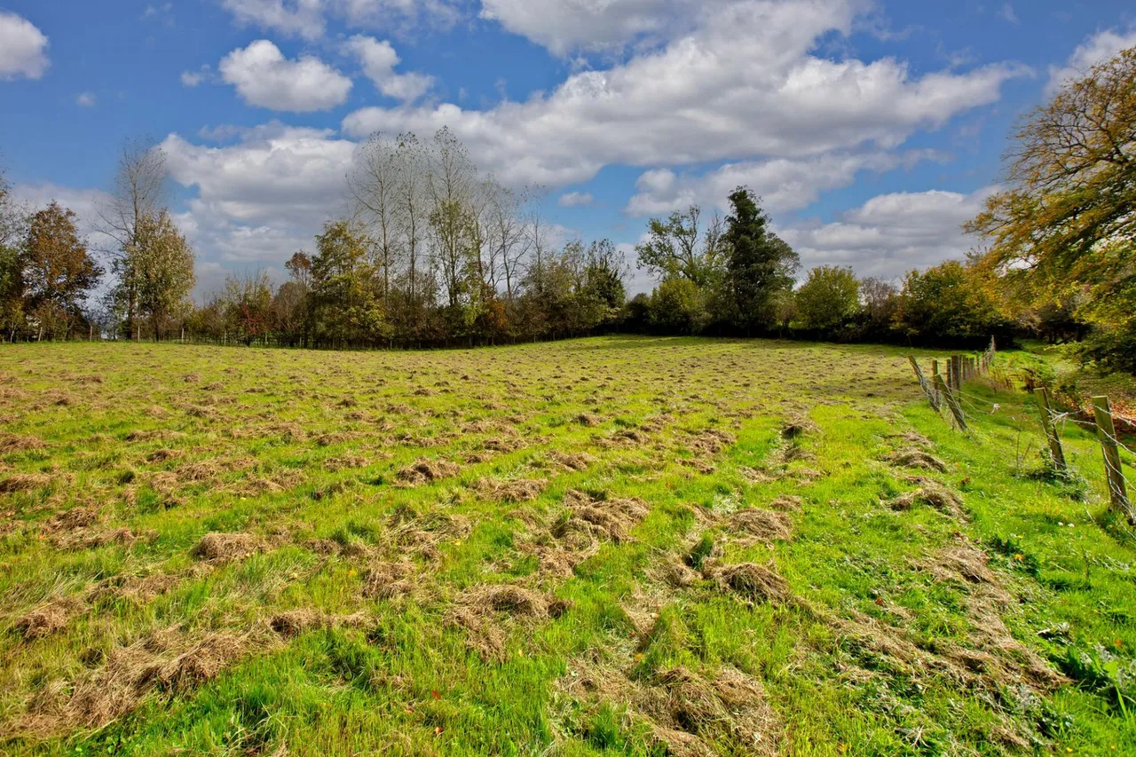 Newhouse Hill, Bickington, TQ12, photo 5