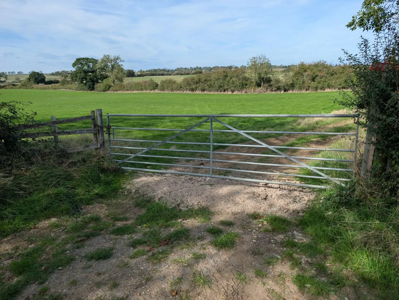 Carlton Curlieu, Leicester, LE8, photo 21