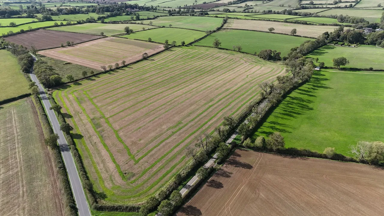 Carlton Curlieu, Leicester, LE8, photo 12
