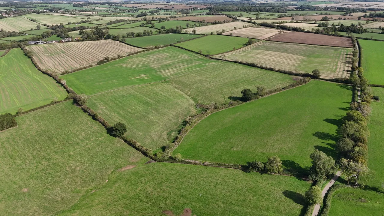 Carlton Curlieu, Leicester, LE8, photo 19