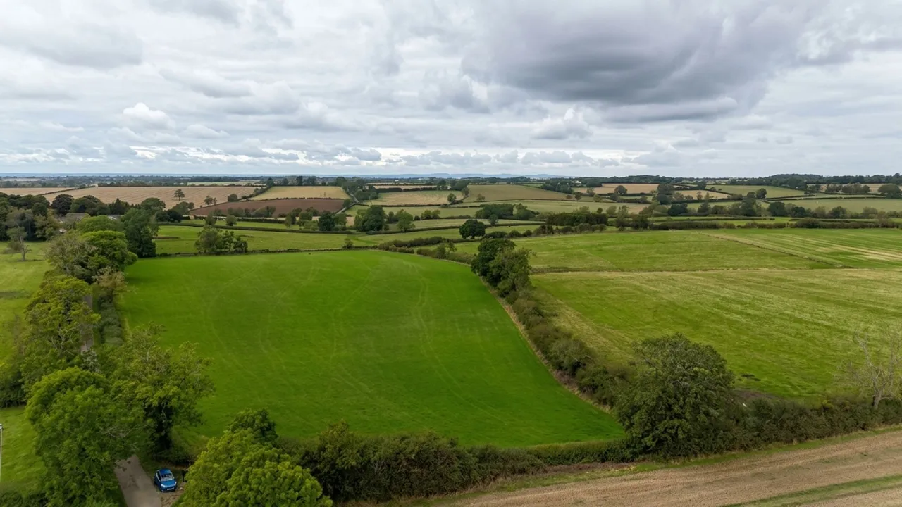 Carlton Curlieu, Leicester, LE8, photo 9