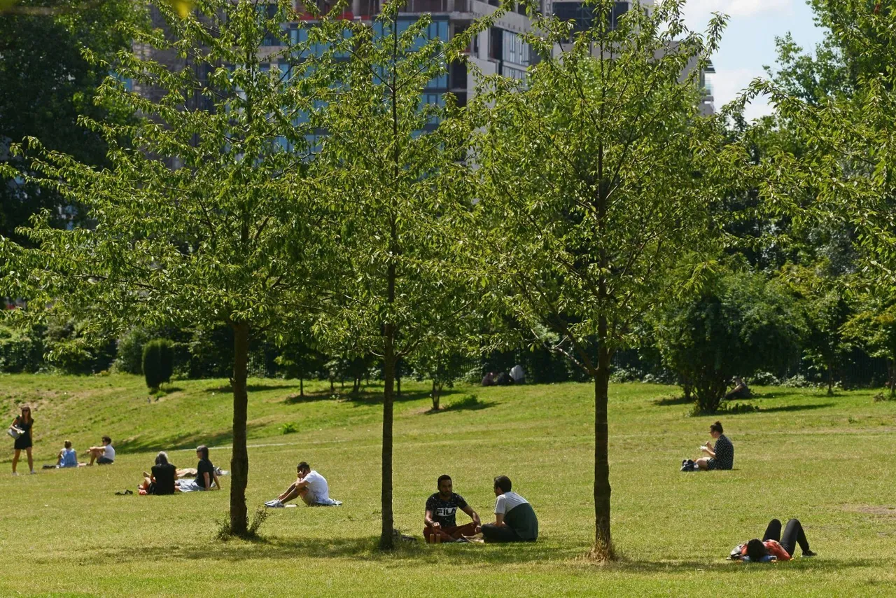 Woodberry Down, Finsbury Park, N4, photo 4