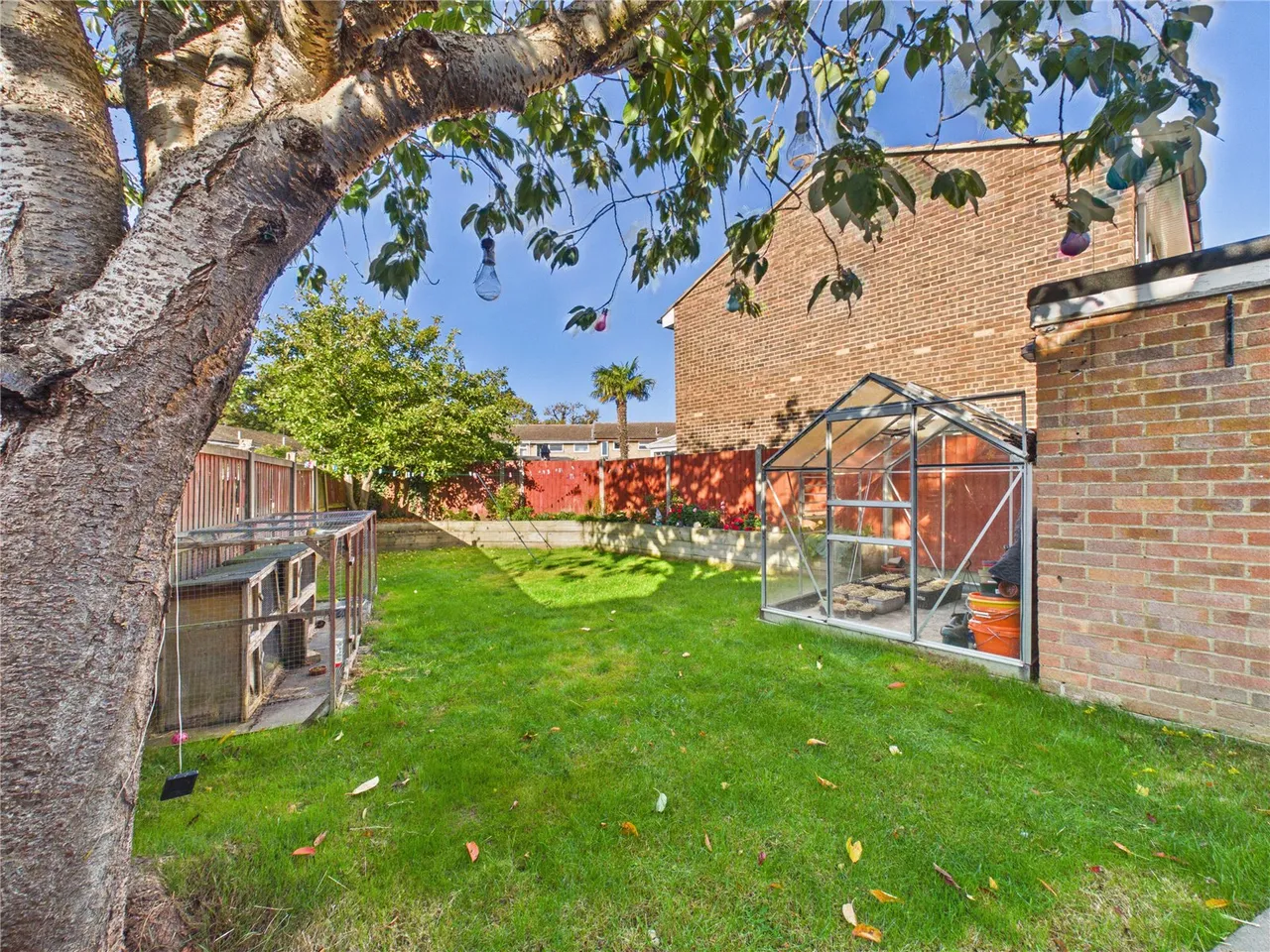 Cornflower Drive, Chelmsford, CM1, photo 4
