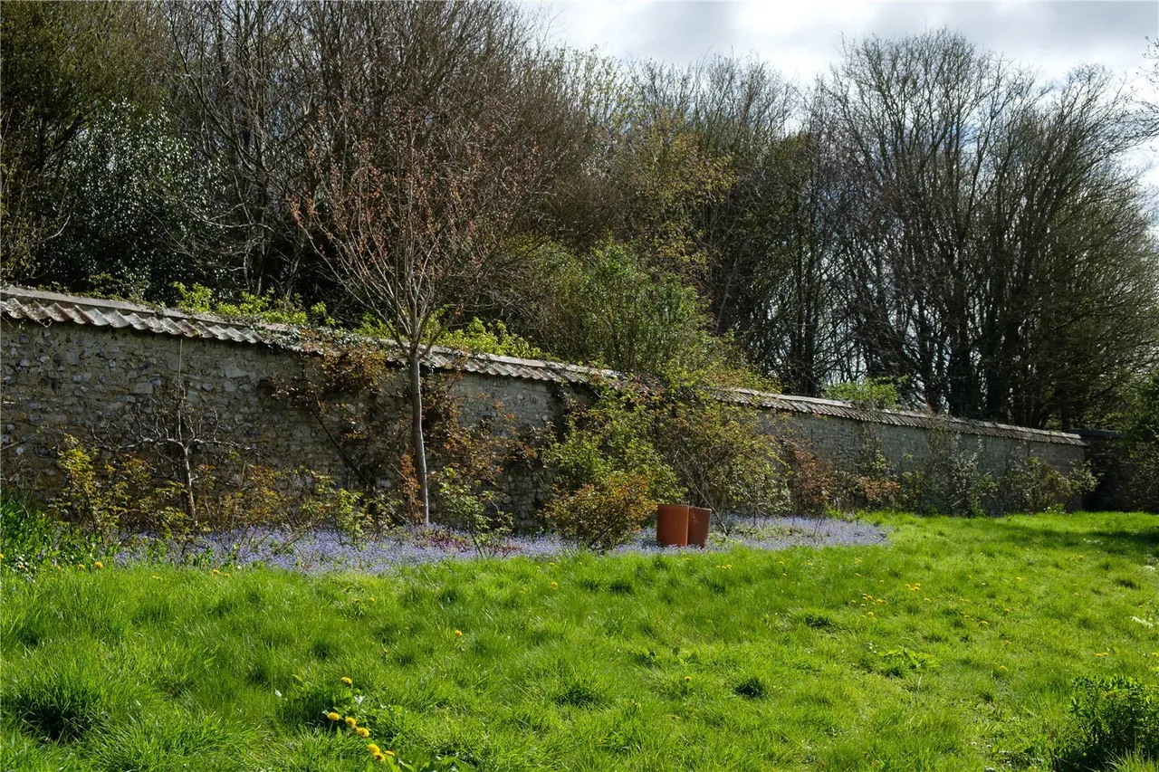 Rew, Martinstown, DT2, photo 74