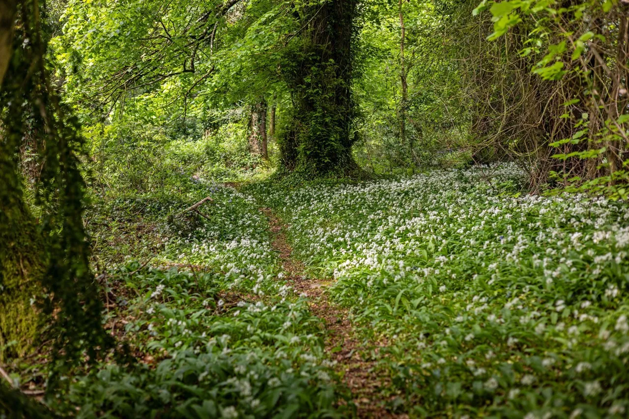 Bridford, Exeter, EX6, photo 17