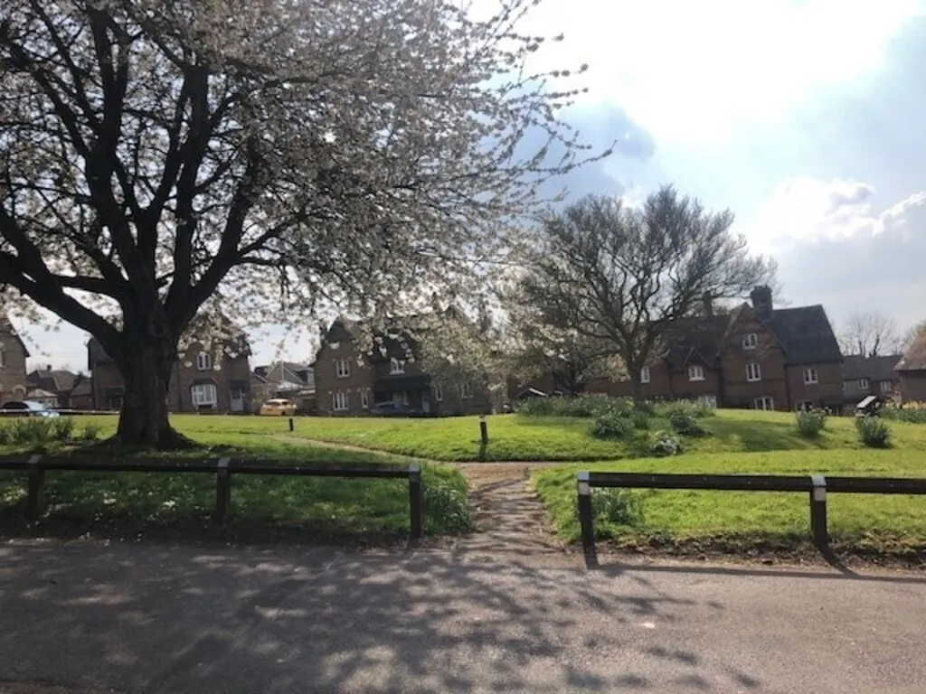 Prospect Square, Westbury, BA13, photo 13