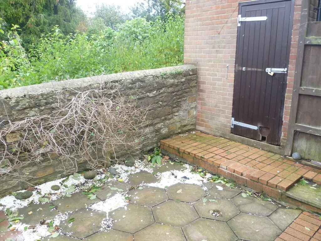 Prospect Square, Westbury, BA13, photo 10