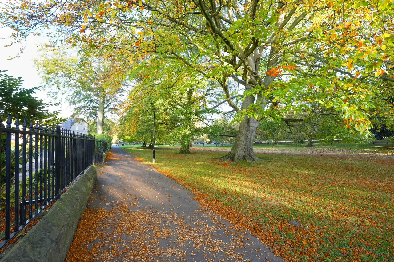 Victoria Road, Harrogate, HG2, photo 26