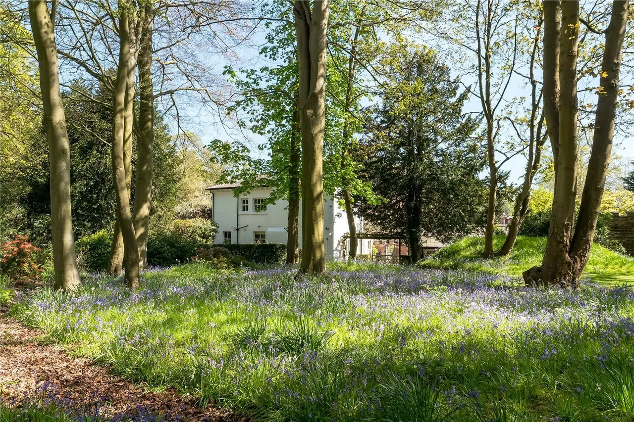 Chelford Road, Knutsford, WA16, photo 26