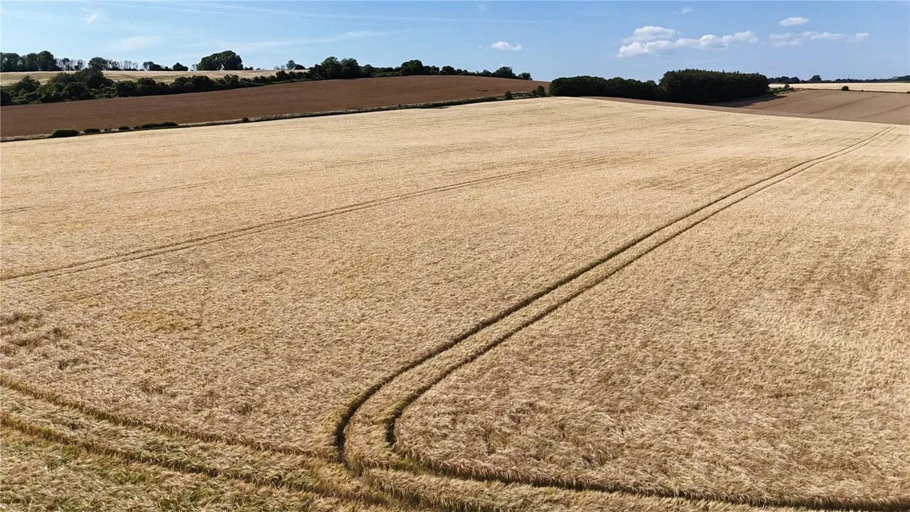 Land At West End Farm, West End, Ebbesbourne Wake, Wiltshire, SP5 5JX, photo 9