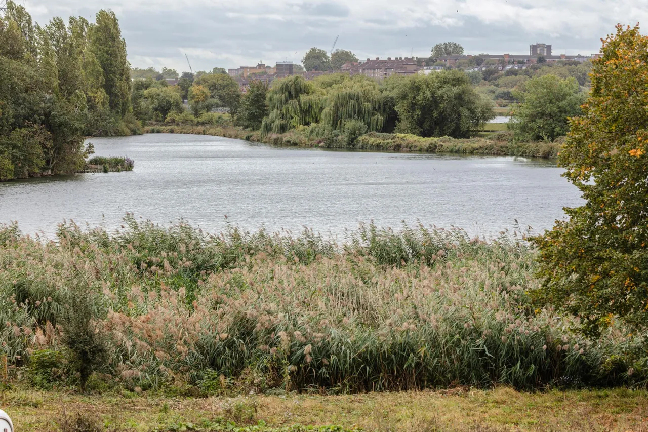 Alder Point, Blackhorse View, E17, photo 10