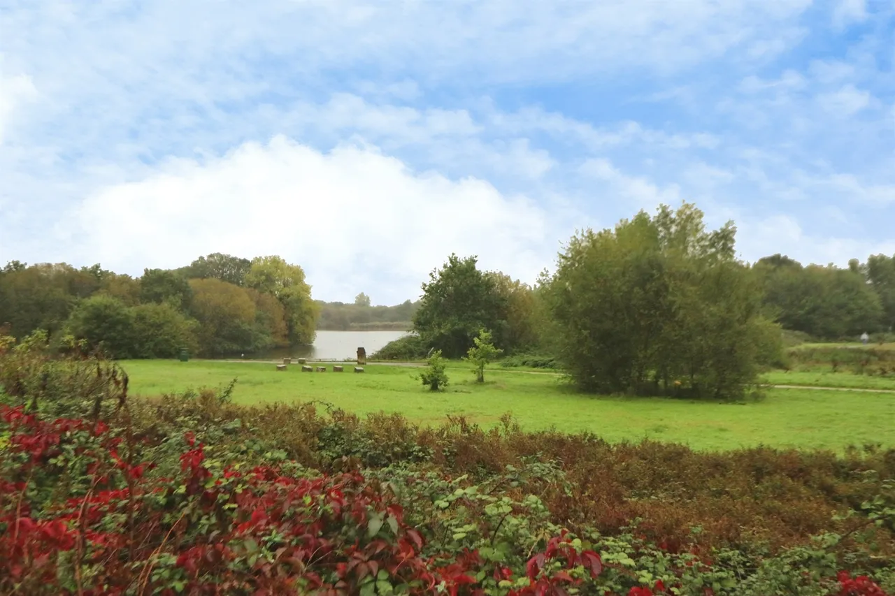 Water Avens Close, Cardiff, CF3, photo 2