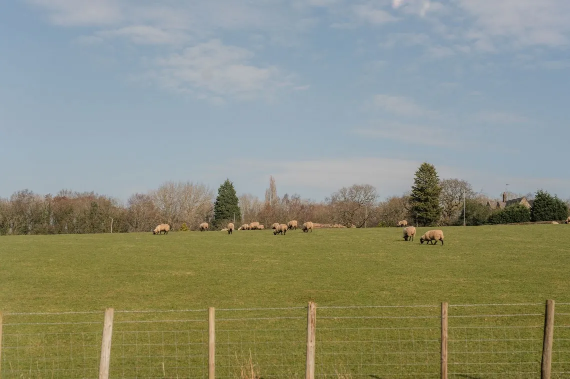 Wood Lane, Parbold, WN8, photo 39