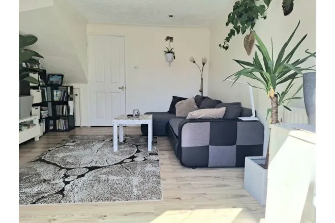 Rowe Mead, Chippenham, photo 3