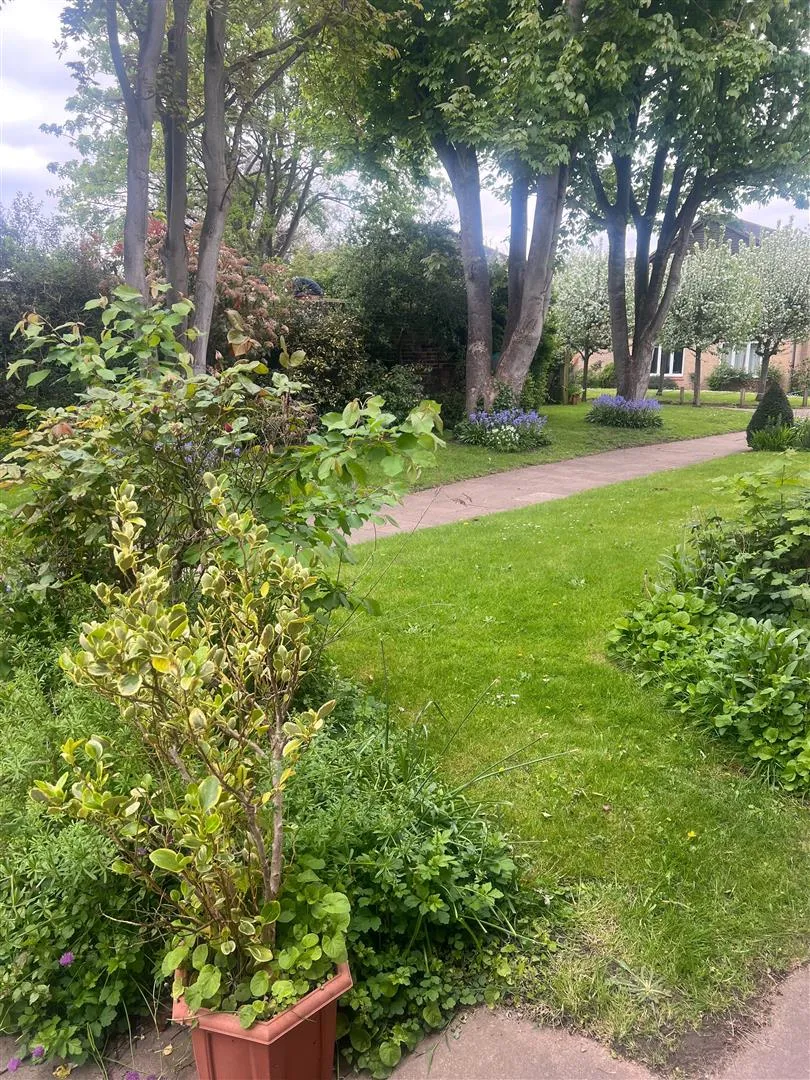 Perryn Court, Grimwood Road, Twickenham Tw1, photo 14