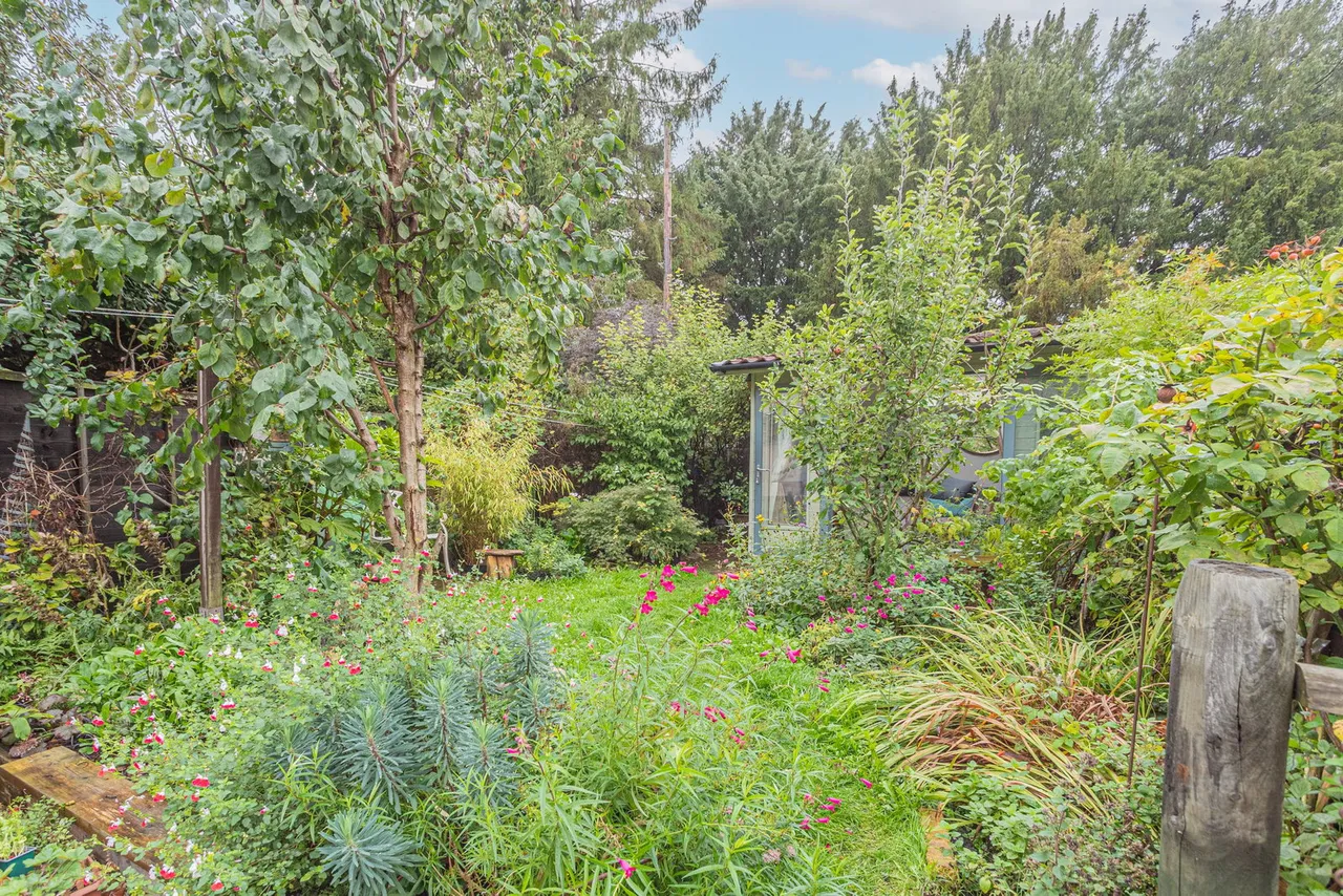 Golden Lane, Kingswood, photo 34