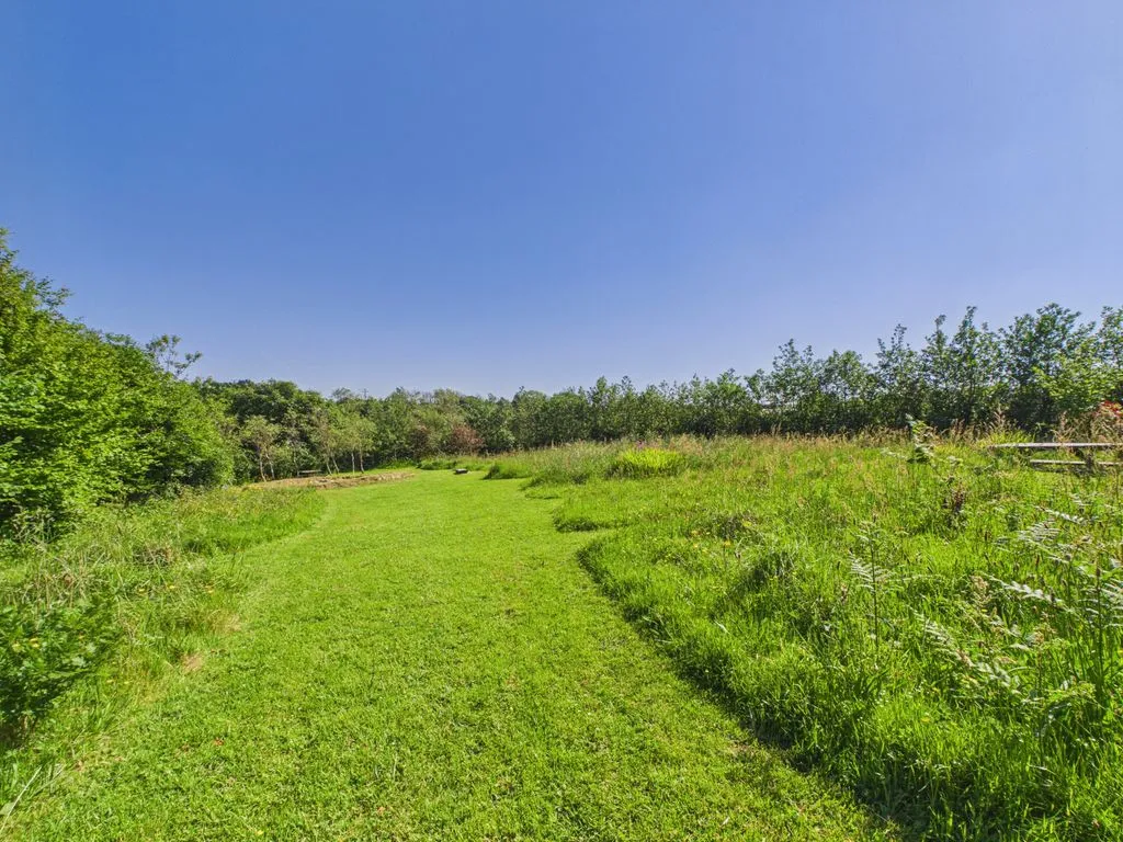 Trevethan, Redruth, photo 15