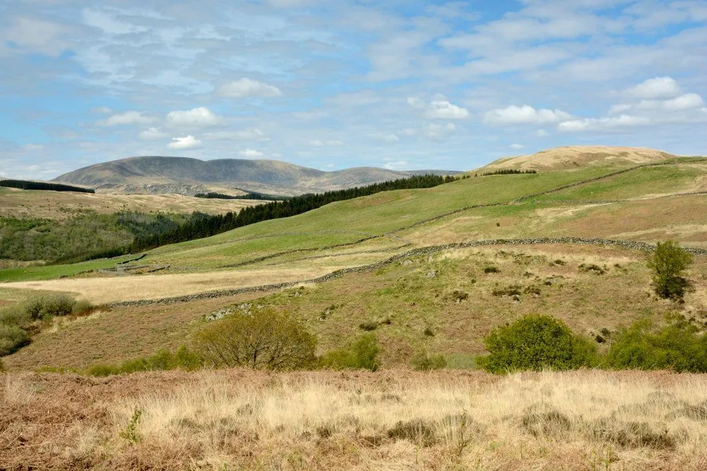 Castramont Hill, Gatehouse Of Fleet, Castle Douglas, Dumfries & Galloway, DG7 2BN, photo 4
