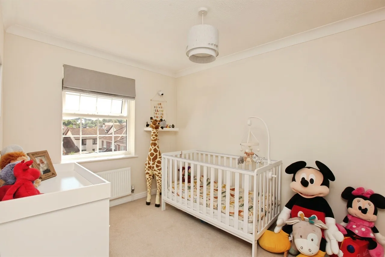 Durham Close, Paignton, TQ3, photo 8