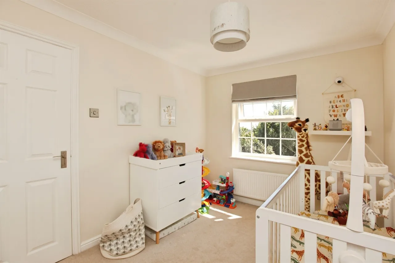 Durham Close, Paignton, TQ3, photo 9