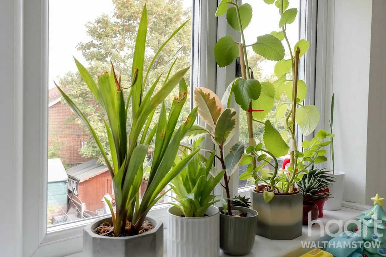 Kingsley Gardens, Chingford, E4, photo 9