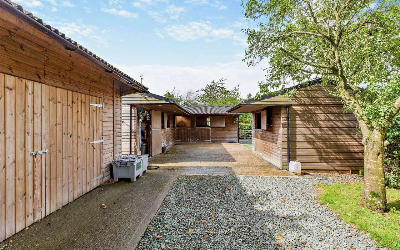 Llandyssil, Montgomery, SY15, photo 18