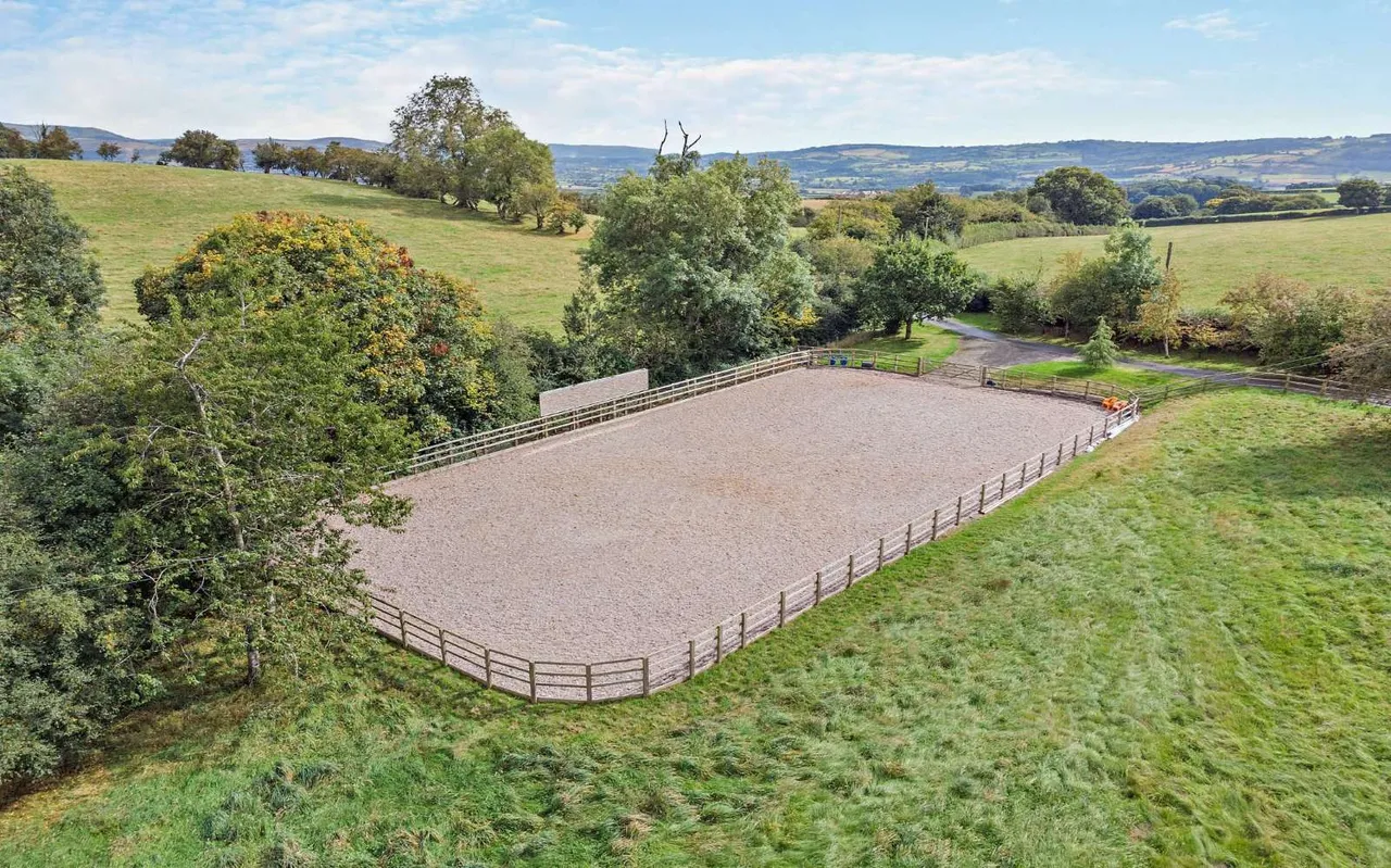 Llandyssil, Montgomery, SY15, photo 19
