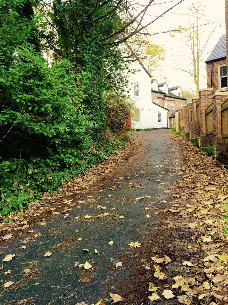 Ainsley Street, Durham, DH1, photo 4