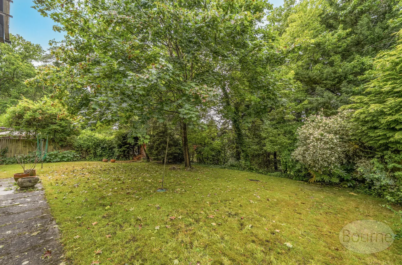 Broad Ha'penny, Wrecclesham, GU10, photo 18