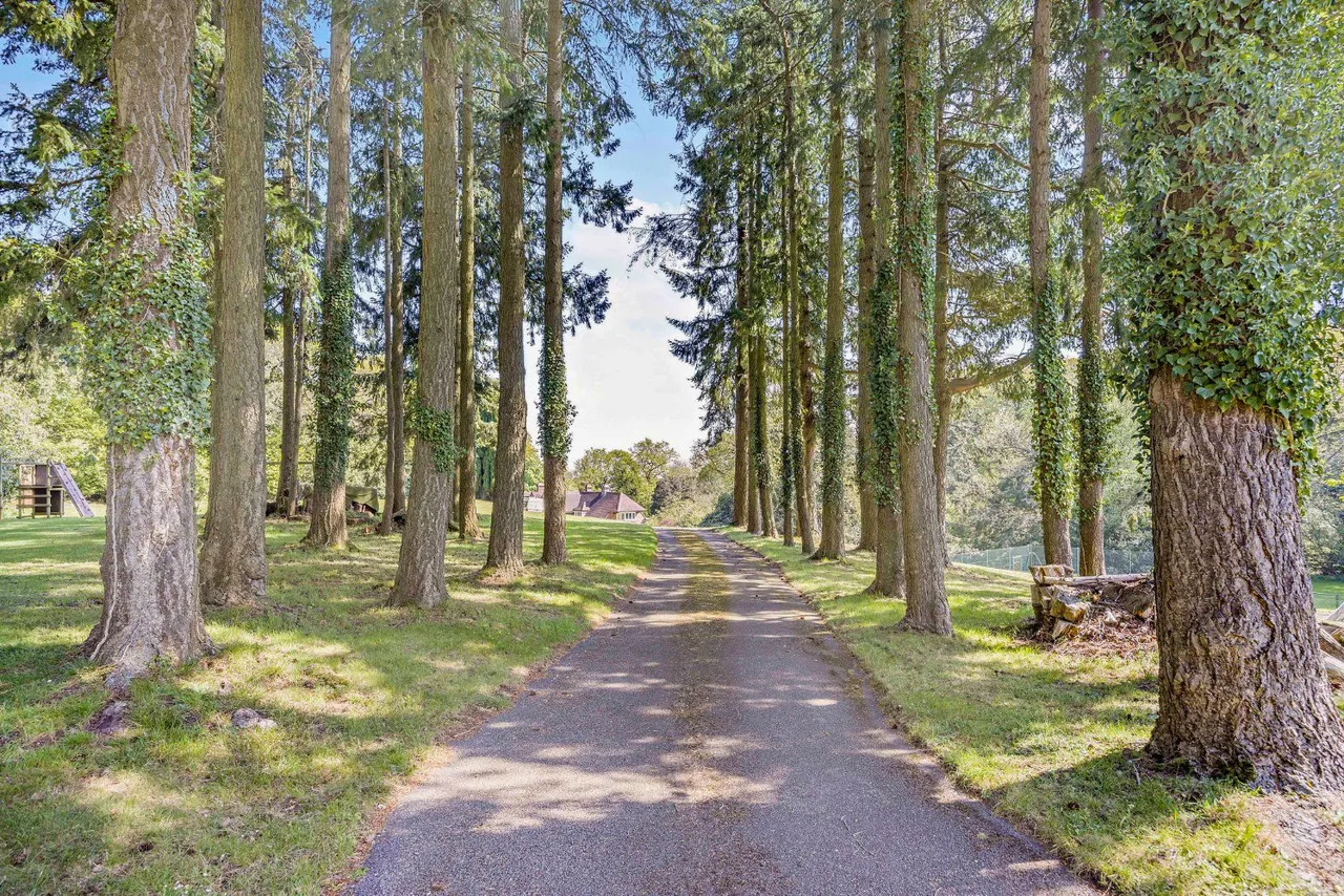 Burys Bank Road, Greenham, RG19, photo 18