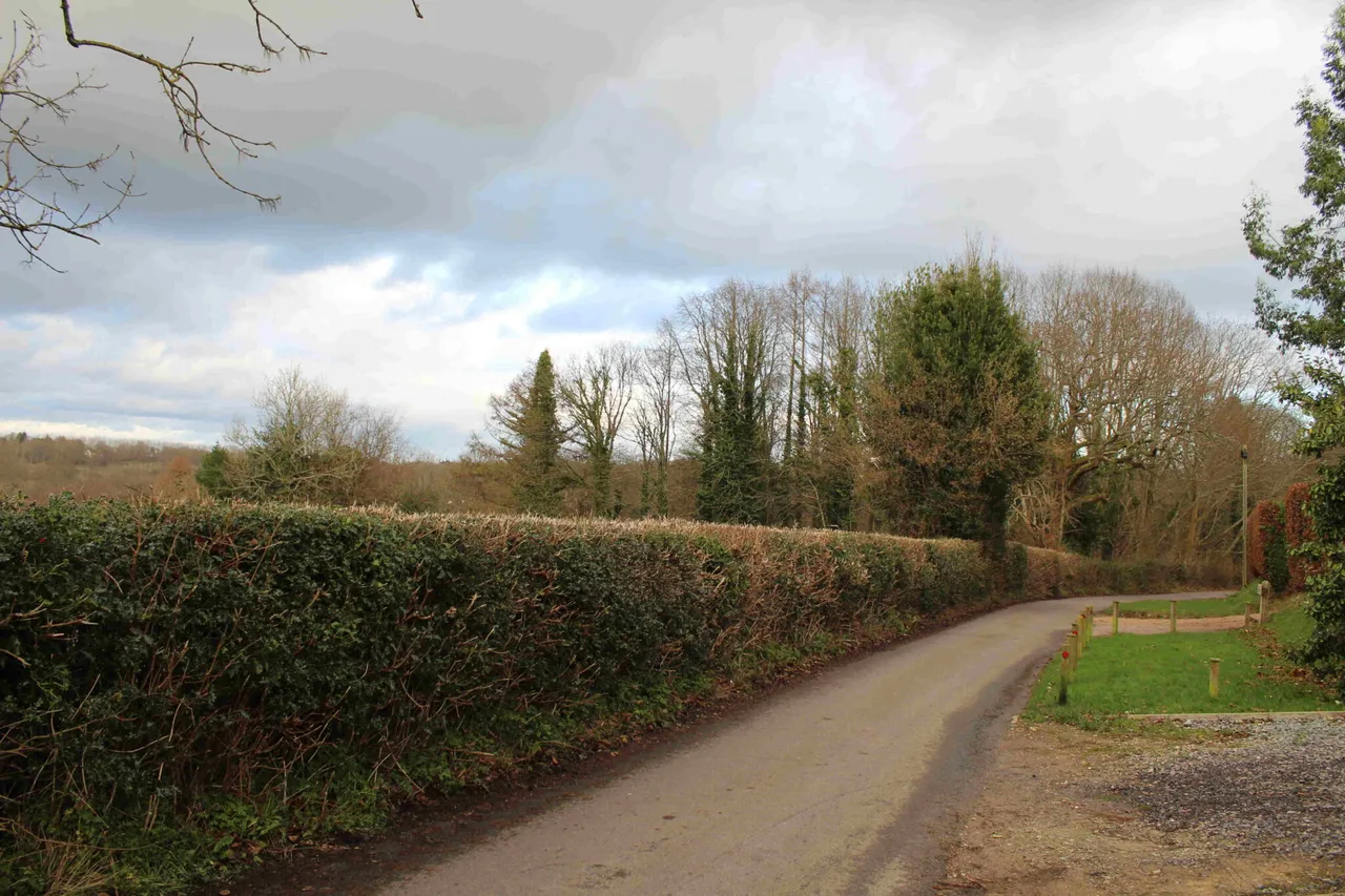 Balaclava Lane, Wadhurst, TN5, photo 17