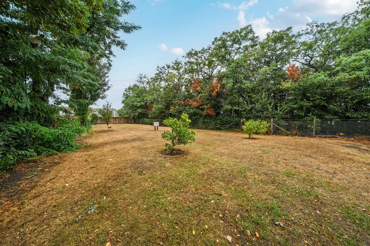 Bernard Ashley Drive, SE7, photo 10