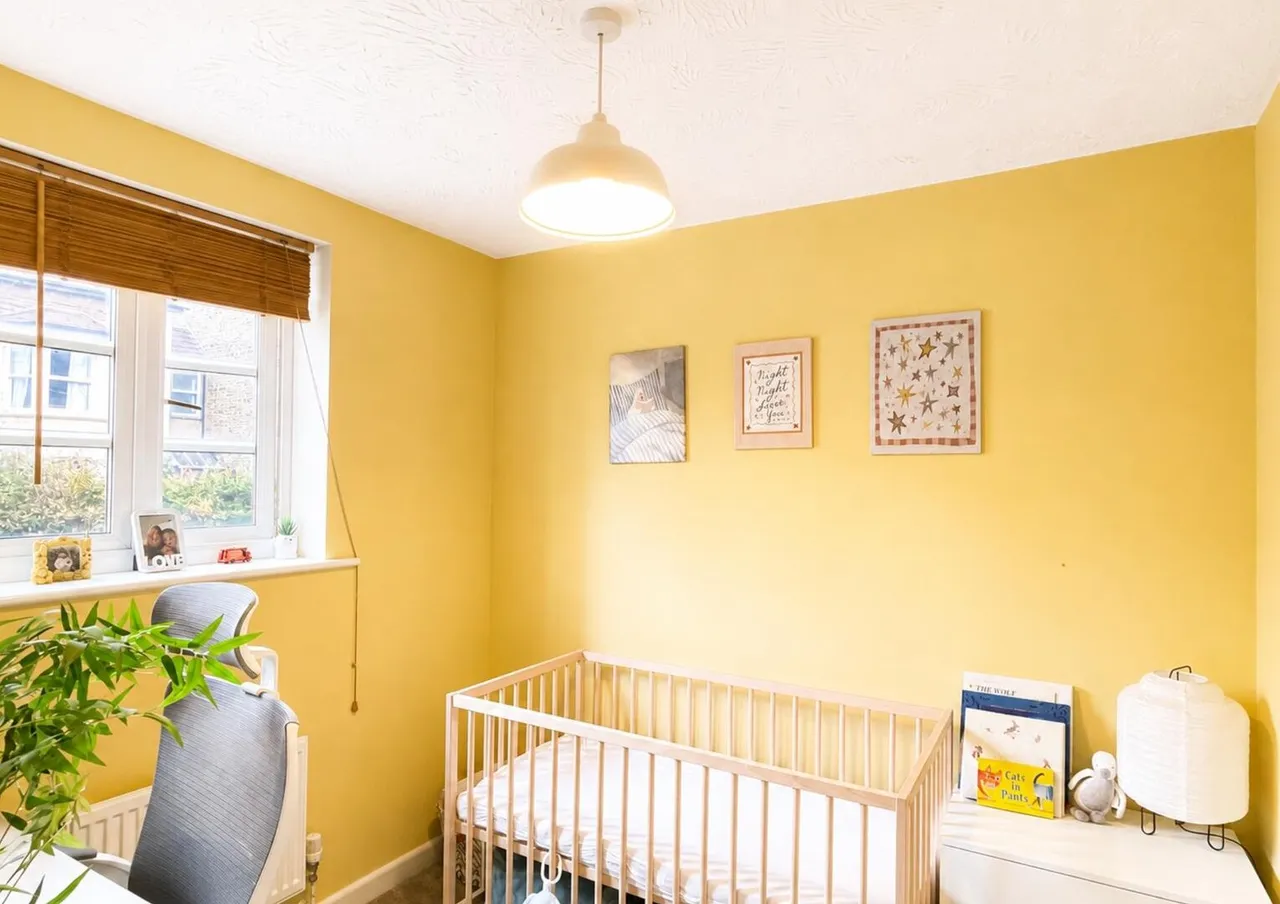 Newington Terrace, Frome, Somerset BA11 1HN, photo 20
