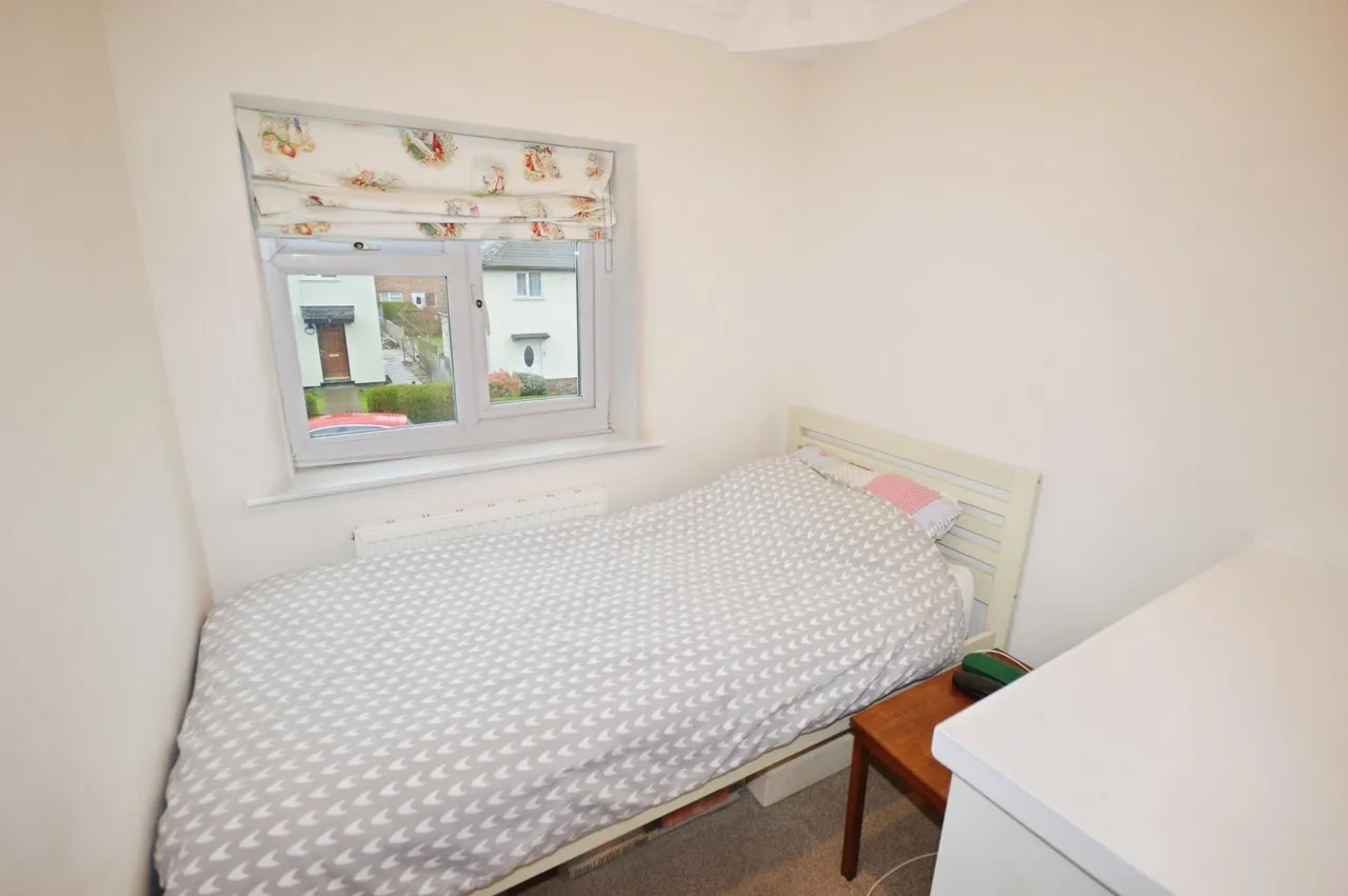 Maesydre, Llanidloes, photo 12