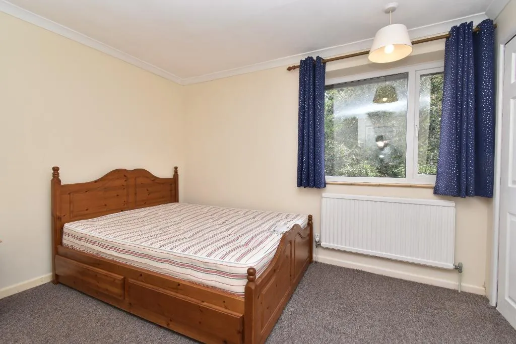 Peckover Road, Norwich, NR4, photo 17