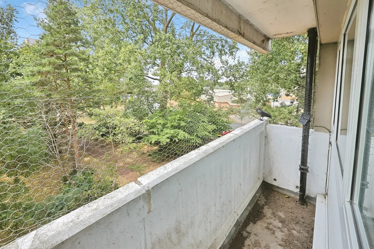 Munnings Road, Norwich, NR7, photo 4