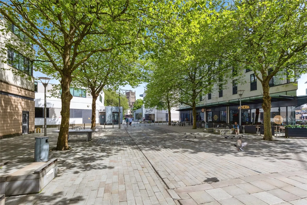 Canons Way, Bristol, BS1, photo 14