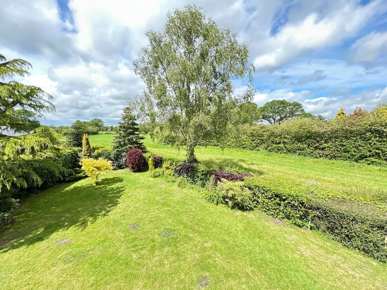 Willow Lane, Crewe, photo 3