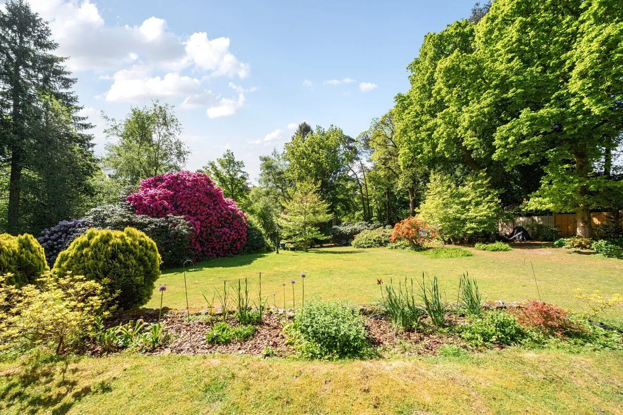 Hindhead Road, Hindhead, Surrey, GU26 6AY, photo 5