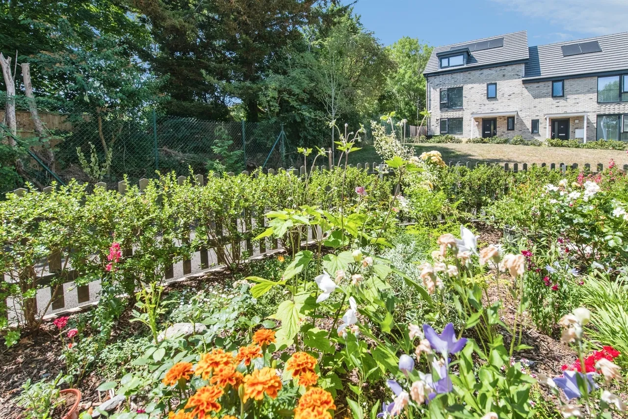 Hornbeam Road, Exeter, photo 10