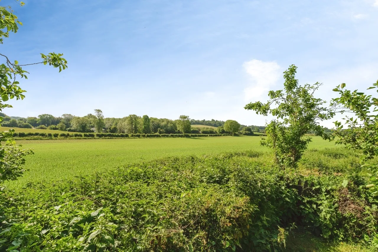 Kitchen Hill, Bulmer, Sudbury, Essex, CO10, photo 18
