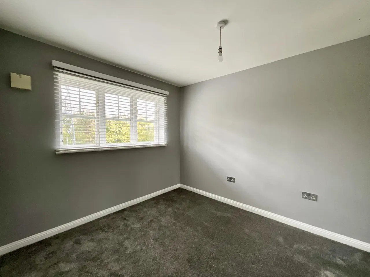 Japonica Drive, Nottingham, NG6, photo 13