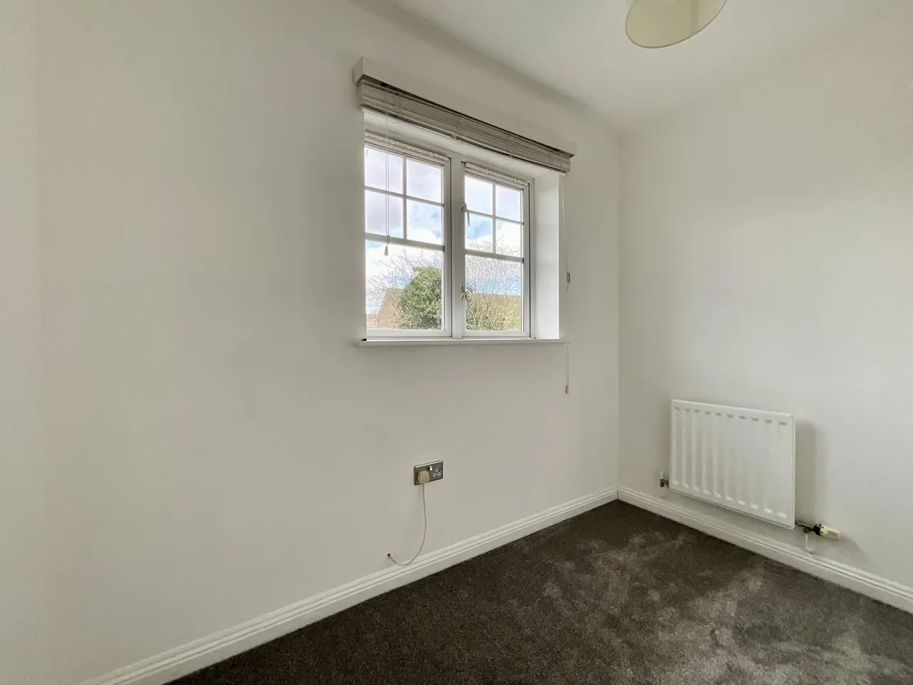 Japonica Drive, Nottingham, NG6, photo 16