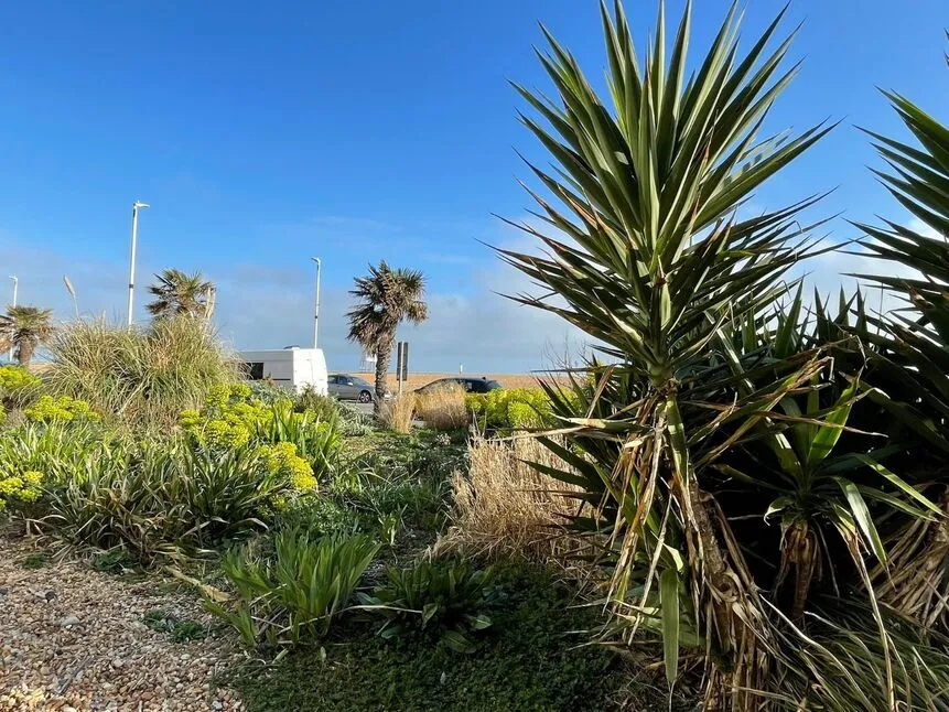 Marine Crescent, Folkestone, CT20, photo 15