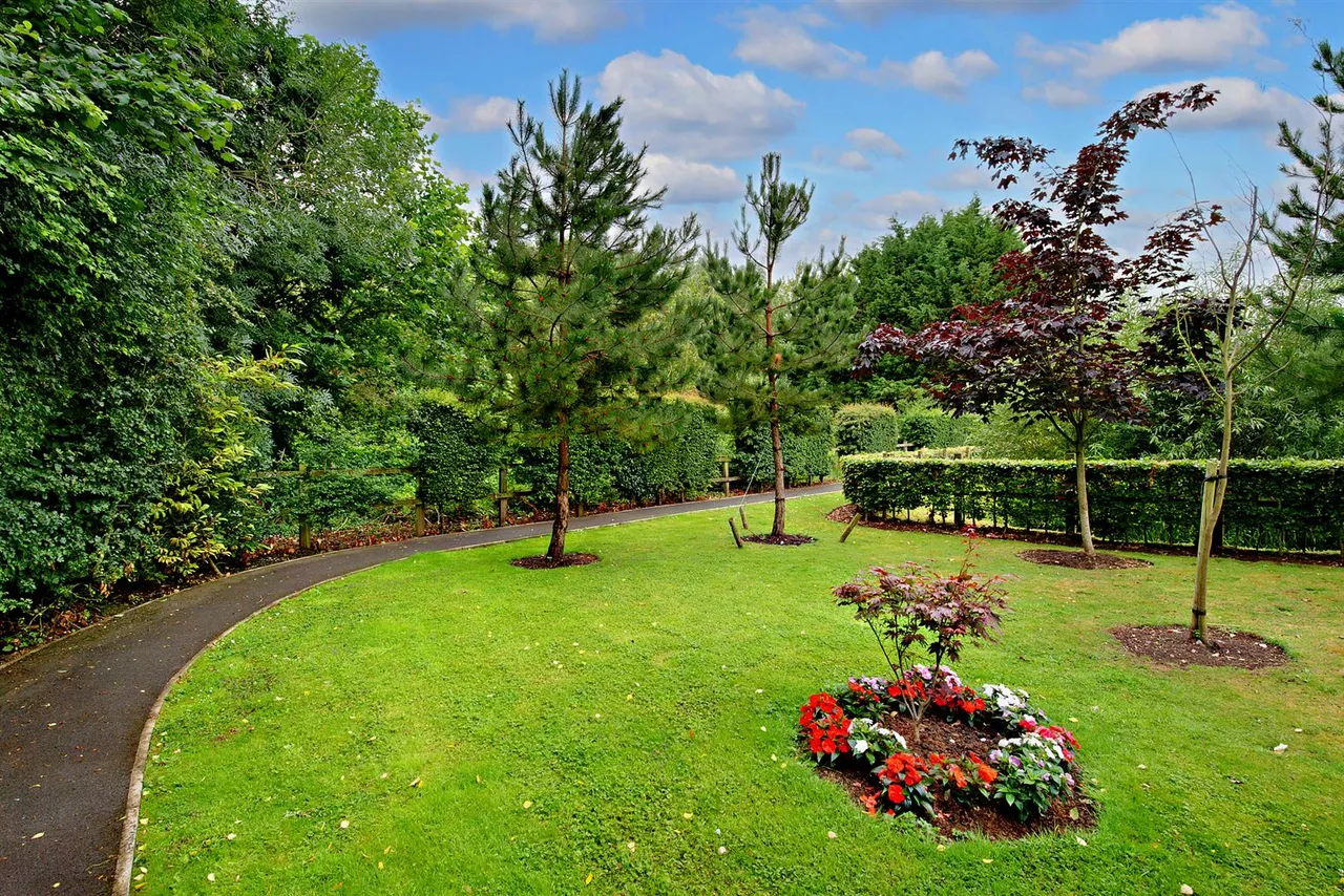 Mount Street, Taunton, TA1, photo 25