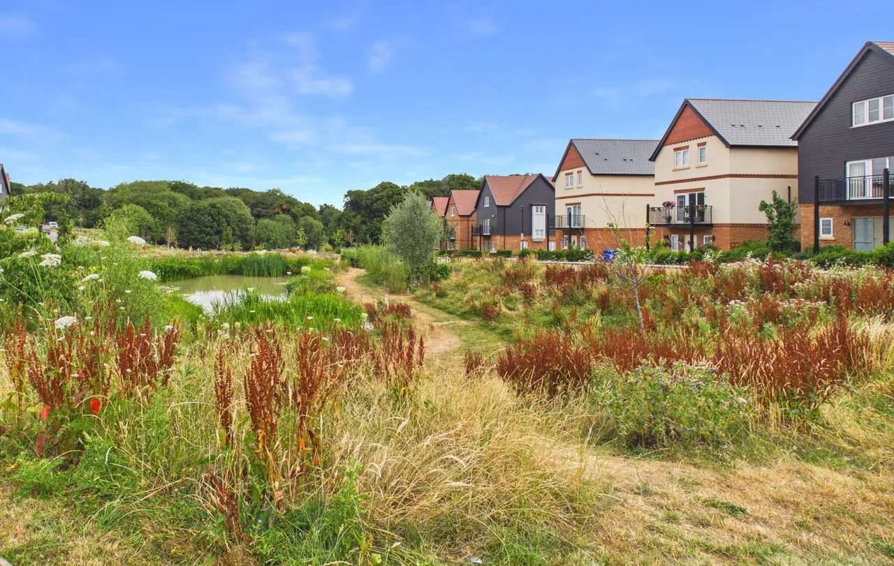 Field Maple Gardens, High Wycombe, HP10, photo 25