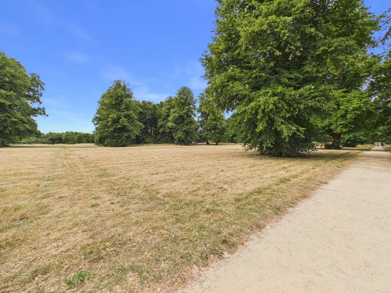 Field Maple Gardens, High Wycombe, HP10, photo 30